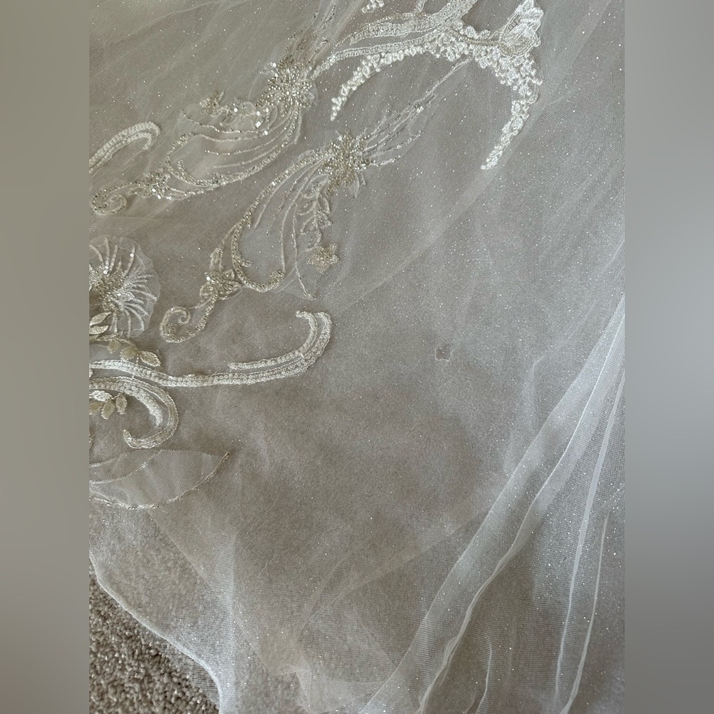 Glitzy, sparkly, dropped waist, illusion back wedding gown size 8 - Picture 8 of 13